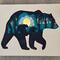 small bear with cub and lights